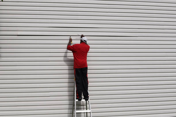 Best Insulated Siding Installation  in Mcdade, TX